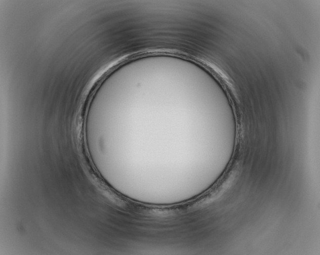 X0000113600933200909181106