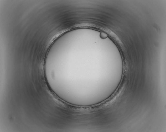 X0000113600937200909181106