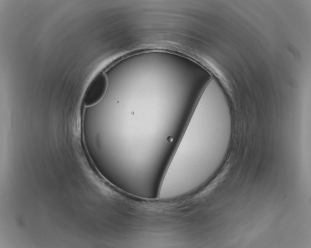 X0000113600940200909181106