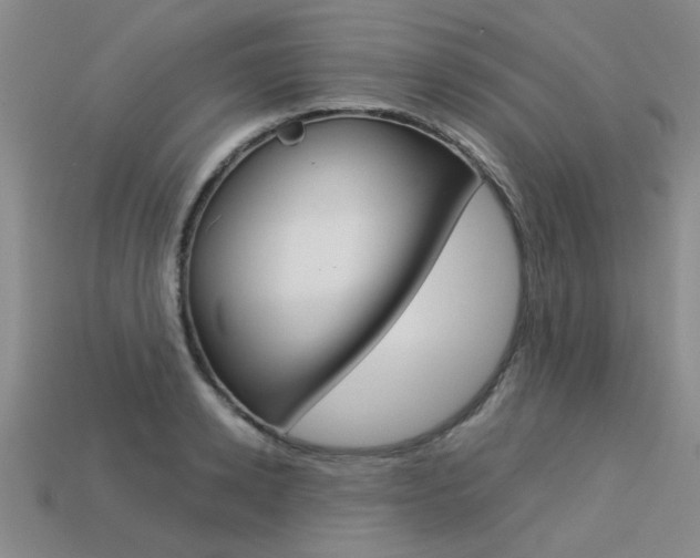 X0000113600942200909181106