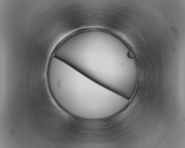 X0000113600943200909181106