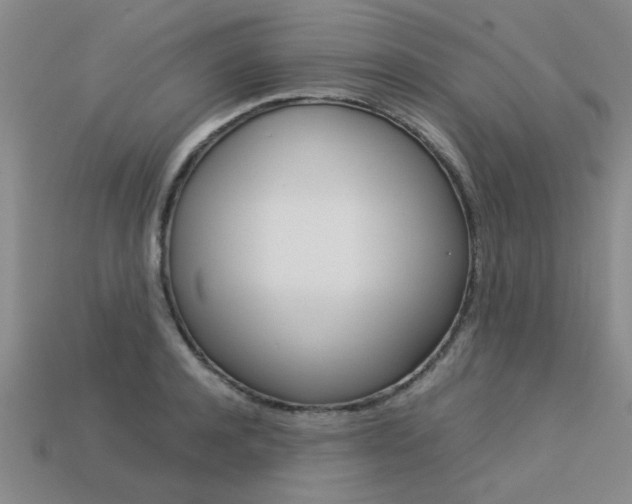 X0000113600944200909181106