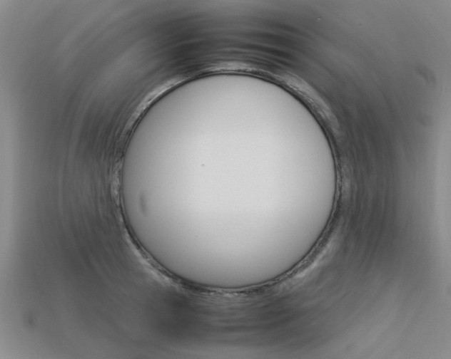 X0000113600945200909181106