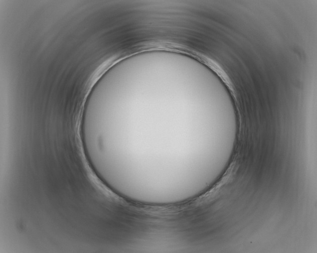 X0000113600946200909181106