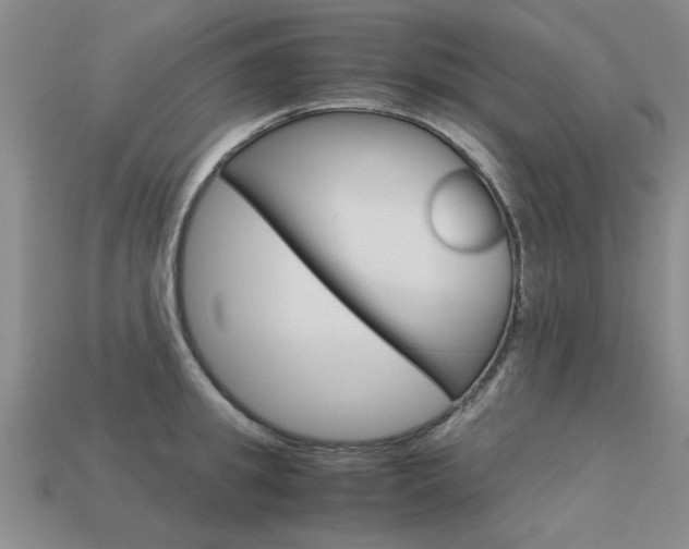X0000113600949200909181106