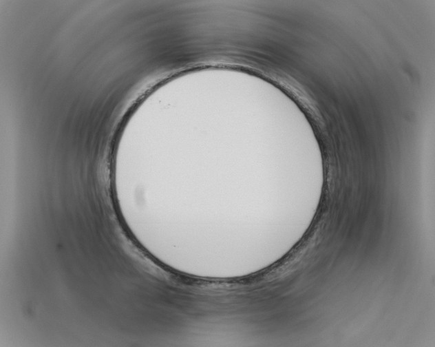 X0000113600950200909181106