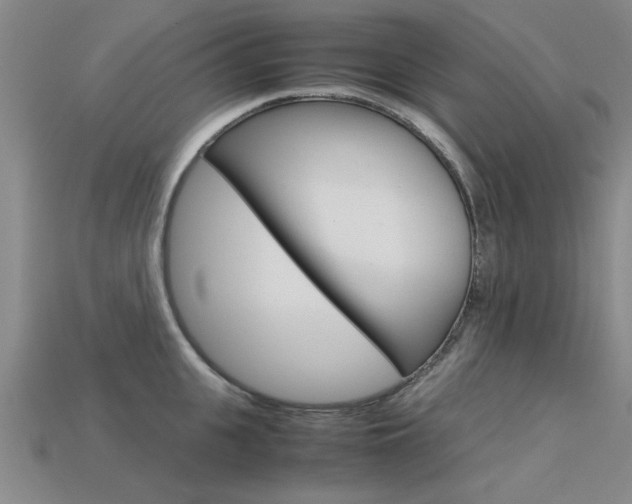 X0000113600951200909181106