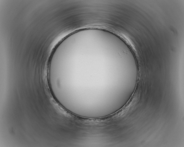X0000113600952200909181106
