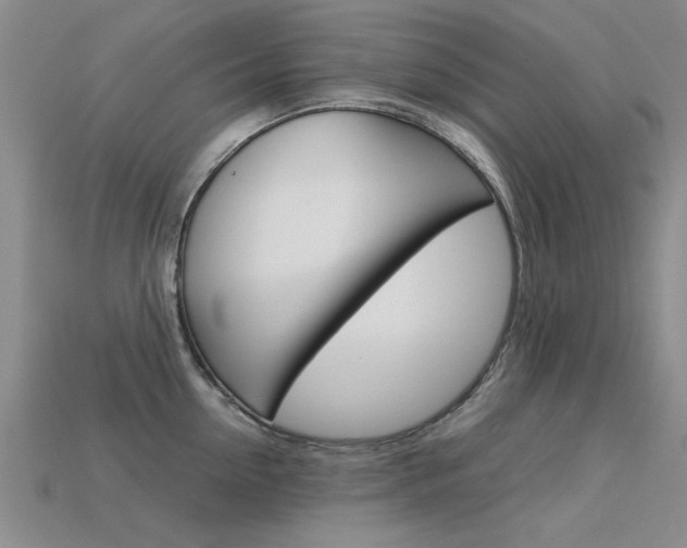 X0000113600954200909181106