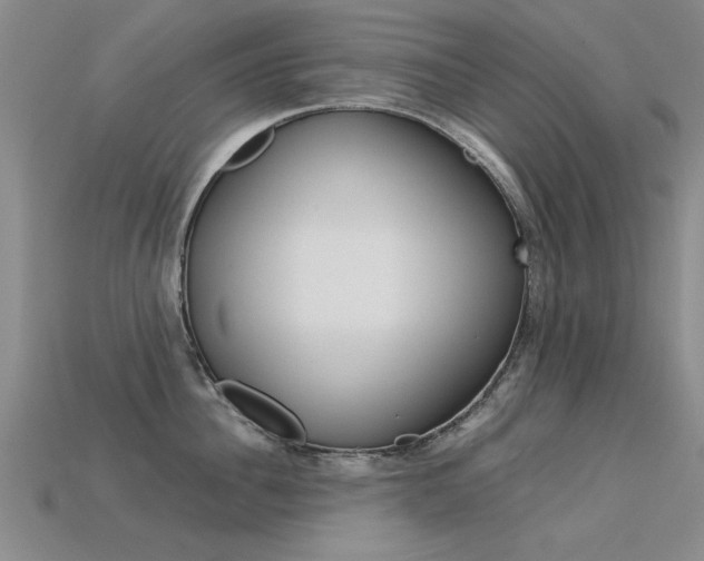 X0000113600956200909181106
