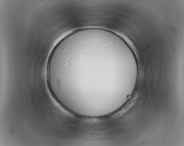 X0000113600957200909181106