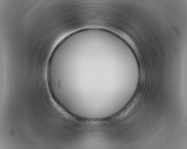 X0000113600958200909181106