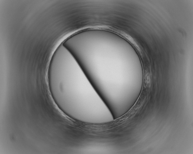 X0000113600959200909181106