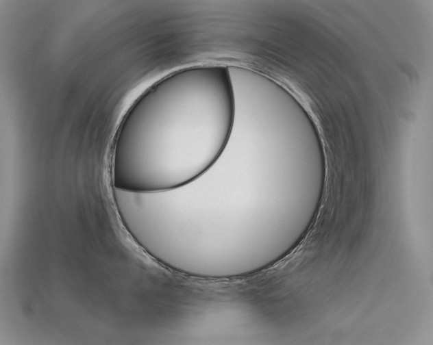 X0000113600960200909181106