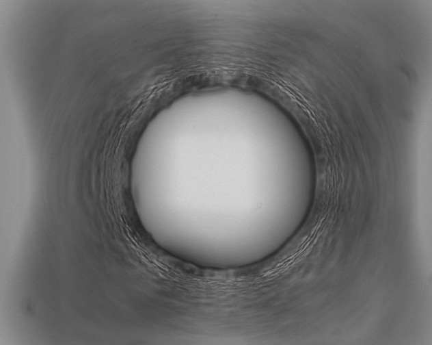X0000113600961200909181106