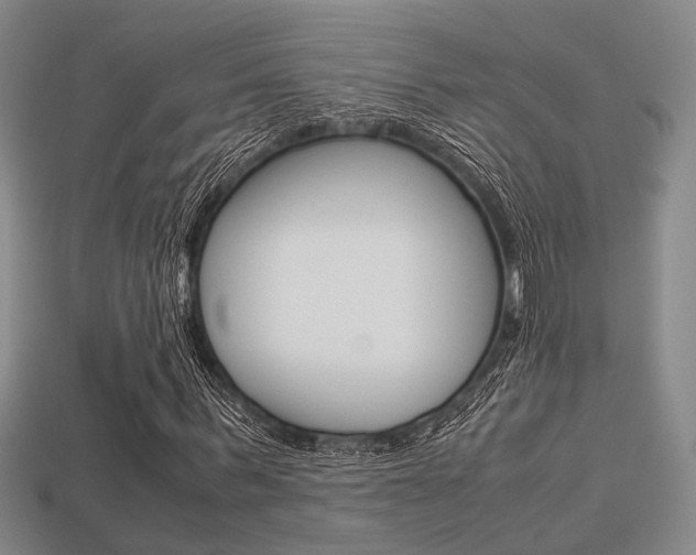 X0000113600963200909181106