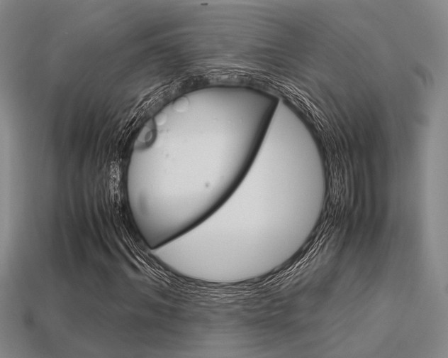 X0000113600964200909181106