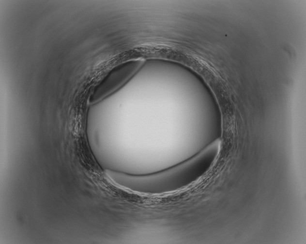 X0000113600965200909181106