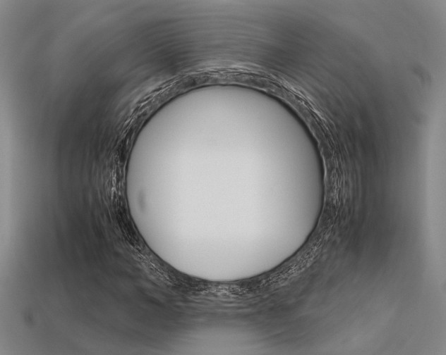 X0000113600966200909181105