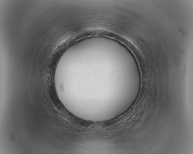 X0000113600967200909181105