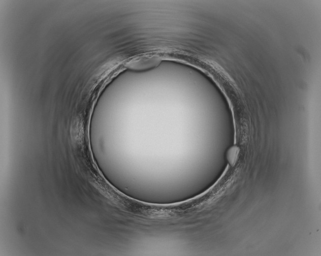 X0000113600969200909181105