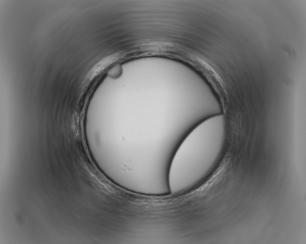 X0000113600970200909181105