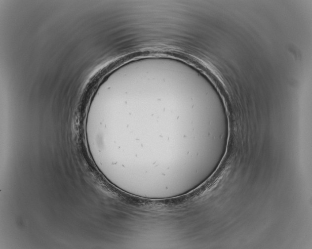 X0000113600971200909181105