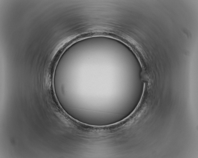 X0000113600973200909181105