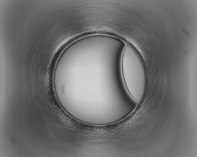 X0000113600975200909181105