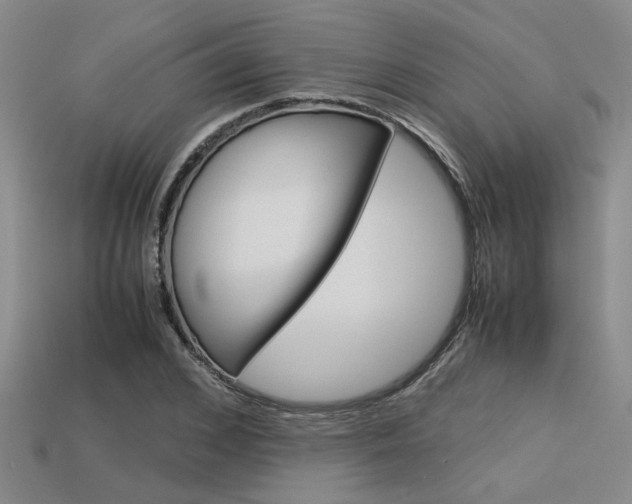 X0000113600976200909181105