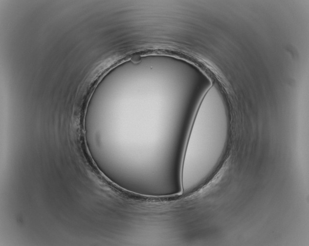 X0000113600977200909181105