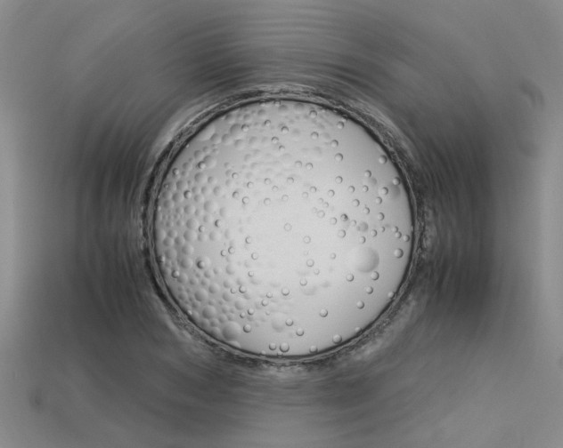 X0000113600978200909181105