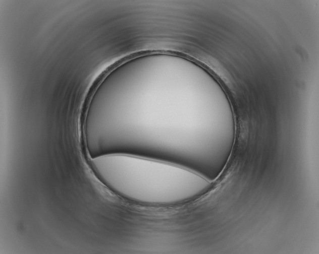 X0000113600980200909181105