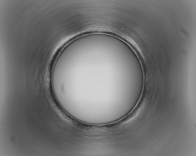 X0000113600981200909181105