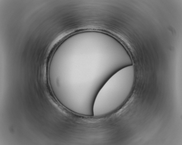X0000113600982200909181105