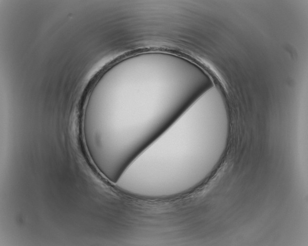 X0000113600983200909181105