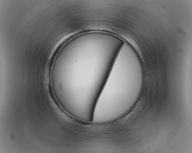 X0000113600984200909181105