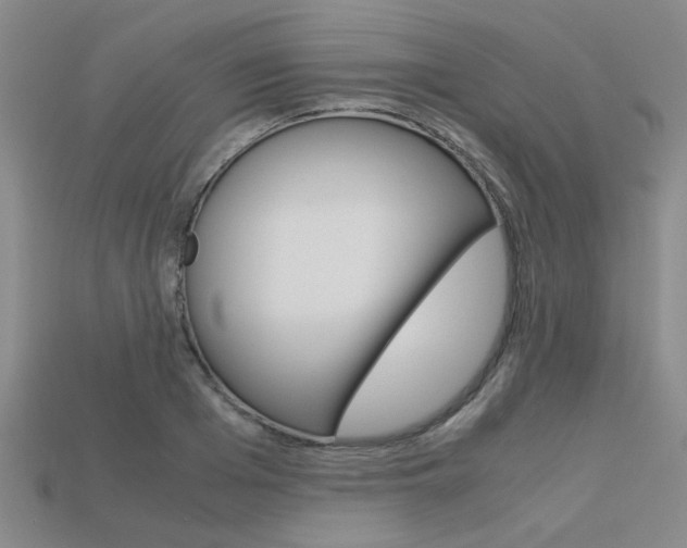 X0000113600985200909181105