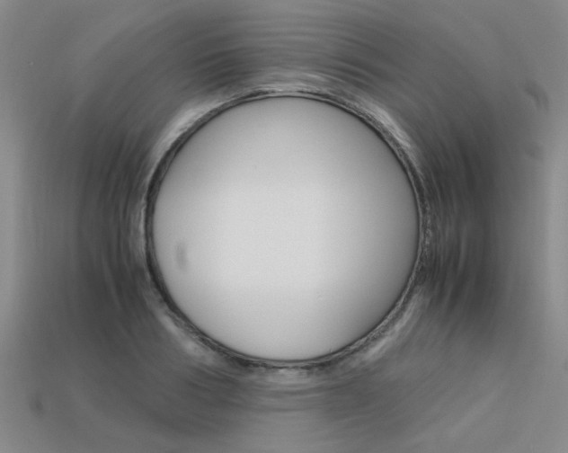 X0000113600986200909181105