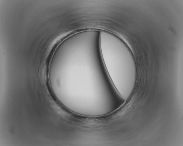 X0000113600987200909181105