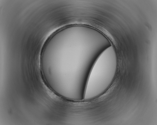 X0000113600988200909181105