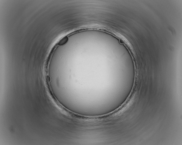 X0000113600989200909181105