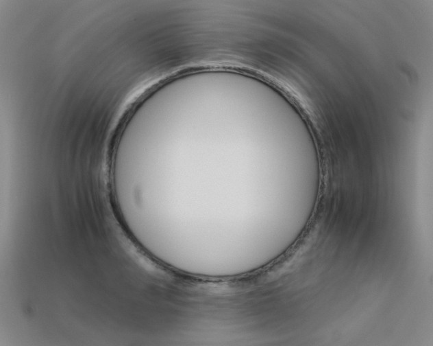 X0000113600990200909181105
