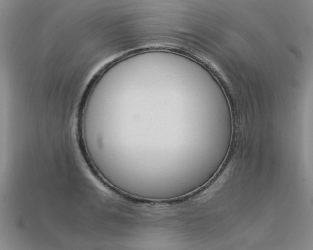 X0000113600991200909181105