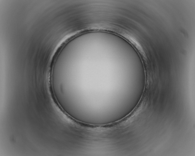 X0000113600992200909181105