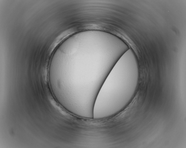 X0000113600994200909181105