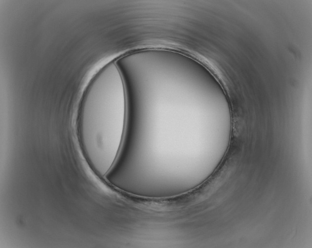 X0000113600995200909181105