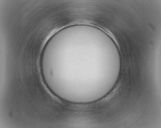X0000113600997200909181105