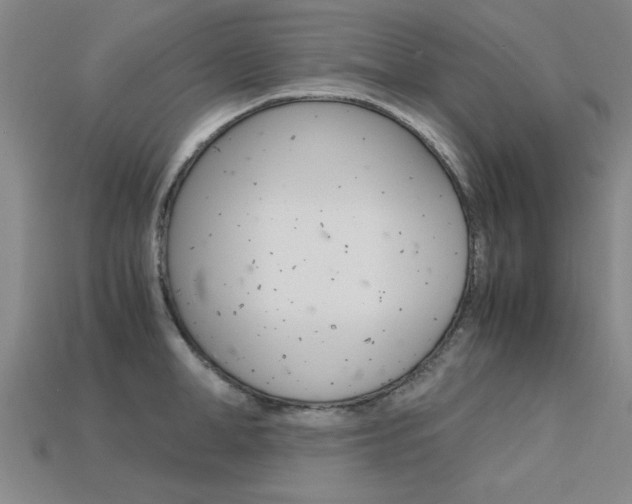 X0000113600998200909181105