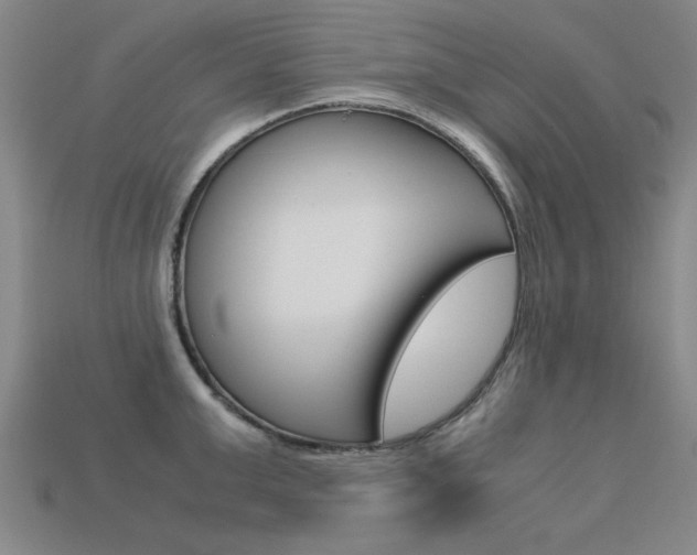 X0000113600999200909181105